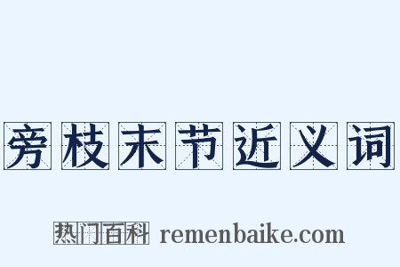 旁枝末节近义词是什么意思的图片